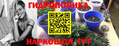 mix Пенза