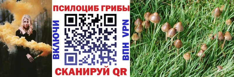 маркетплейс телеграм  Советск  Галлюциногенные грибы мухоморы 