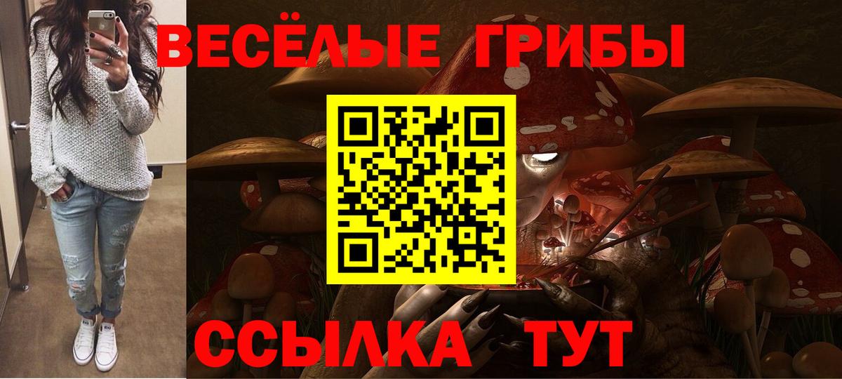 Псилоцибиновые грибы прущие грибы Советск